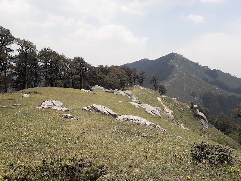 Shikari Mata Mandir - Shikari Mata Mandir Khauli, Dpf Raigarh, Himachal Pradesh 175047, India