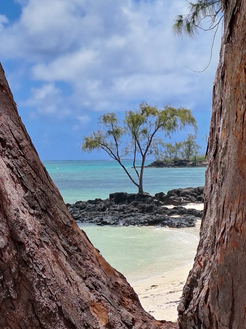 Ile aux Cerfs - Ile aux Cerfs PRV4+6J, Trou d'Eau Douce, Mauritius