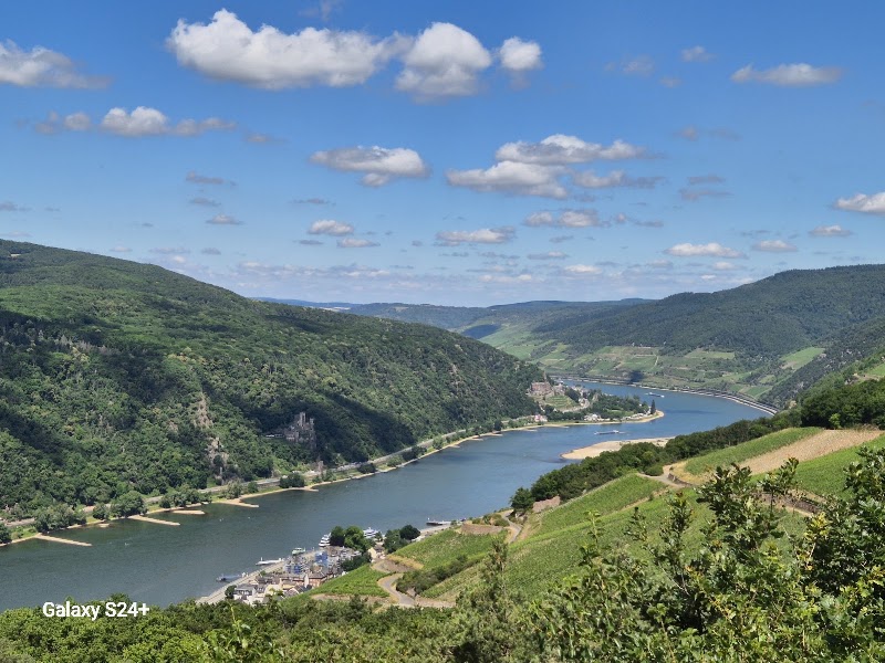 Niederwald in Rudesheim - Niederwald in Rudesheim, 65385 Rüdesheim am Rhein, Germany