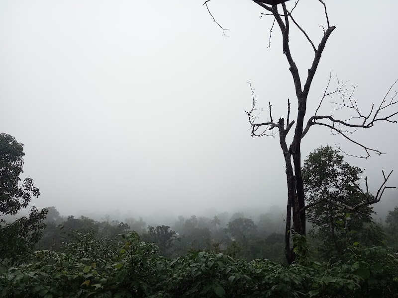 Verlen - Verlen, Goa, India