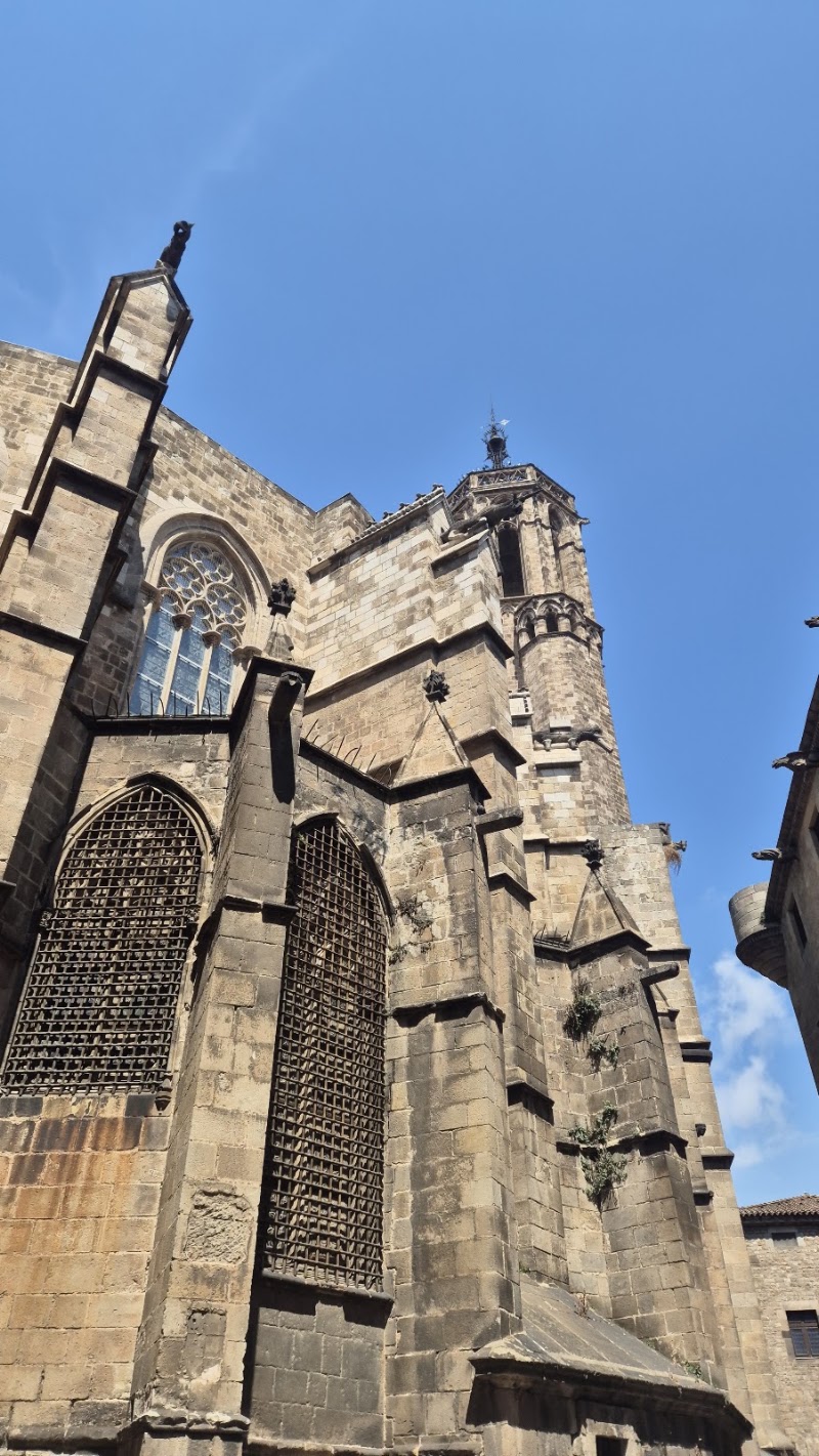 Free Walking Tours Barcelona - Free Walking Tours Barcelona, Avinguda del Paral·lel, 36, 6, 1, Ciutat Vella, 08001 Barcelona, Spain