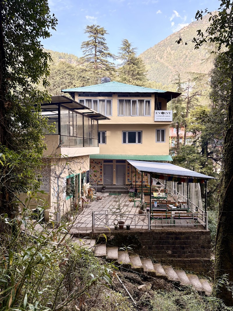 EEVOLVE An Eco - Hostel & Cafe