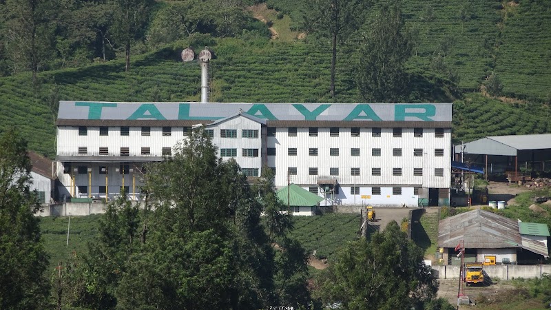 Talayar Tea Factory - Talayar Tea Factory 5442+FV8, Kannan Devan Hills, Kerala 685614, India