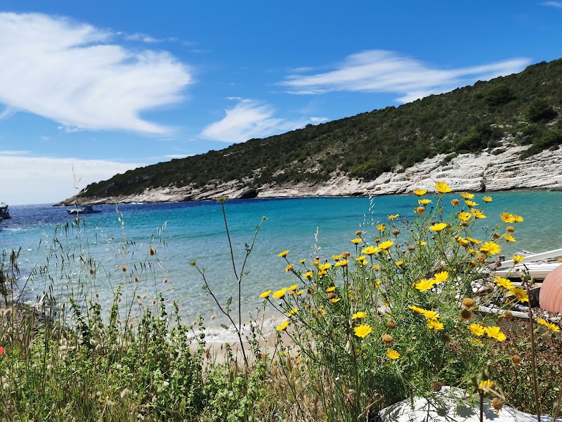 Ilirio's Hvar Tours - Ilirio's Hvar Tours Poljana Grgura Ninskog 9, 21000, Split, Croatia