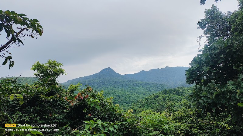 Parasnath - Parasnath Hill, Jharkhand 825329, India