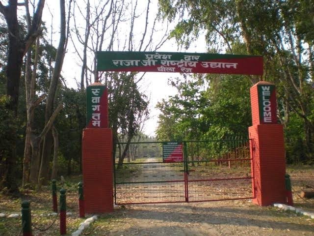 Rajaji Tiger Reserve - Rajaji Tiger Reserve, Uttarakhand, India