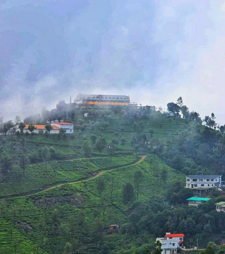 Kotagiri - Kotagiri, 12/222 st Luke’s church road, Kamaraj Square, Kotagiri, Tamil Nadu 643217, India