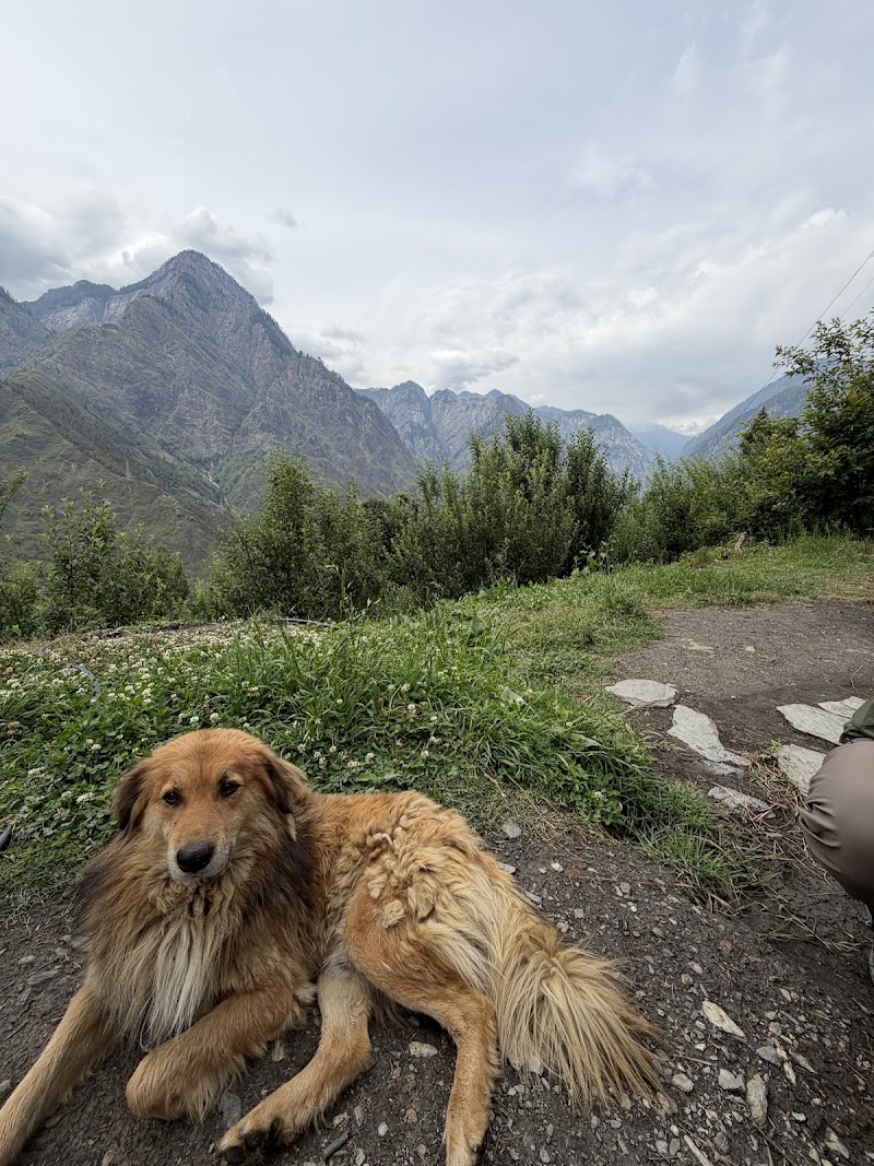 Mandala House & Cafe - Mandala House & Cafe, X6MH+J66, bhag, Bradha, Jari, Himachal Pradesh 175105, India