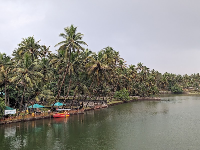Kappil Beach - Kappil Beach Kappil Beach, Kerala 695311, India