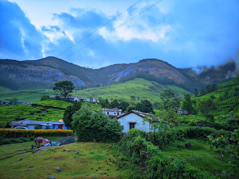Suryanelli