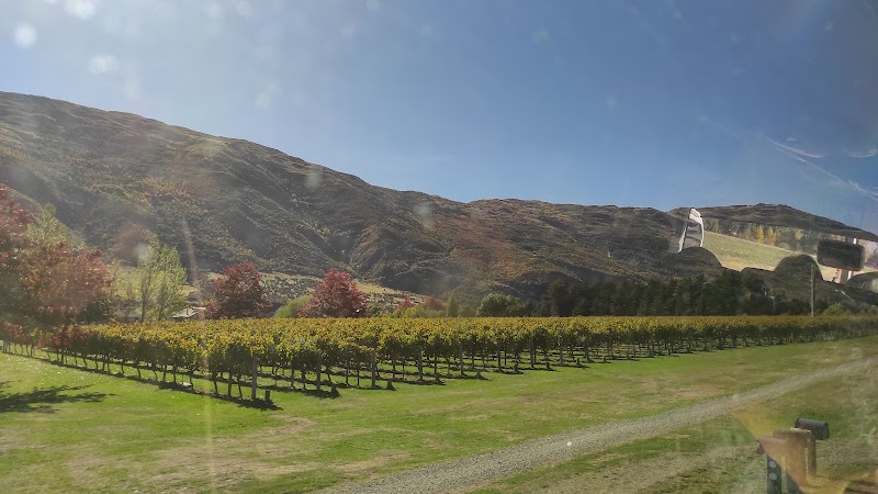 Arrow River - Arrow River, Otago Region, New Zealand