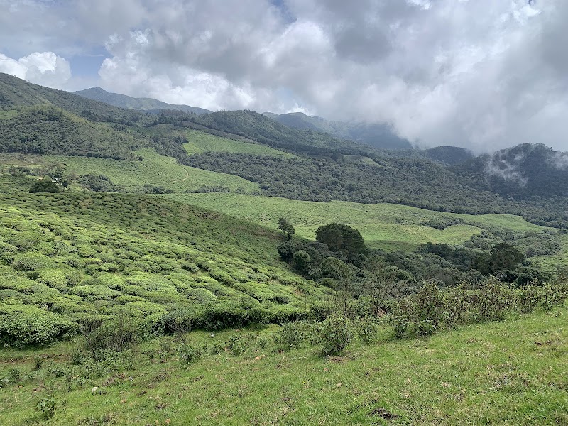 Mukurthi National Park - Mukurthi National Park Nilgiri hills, Mulligoor, Tamil Nadu 643219, India
