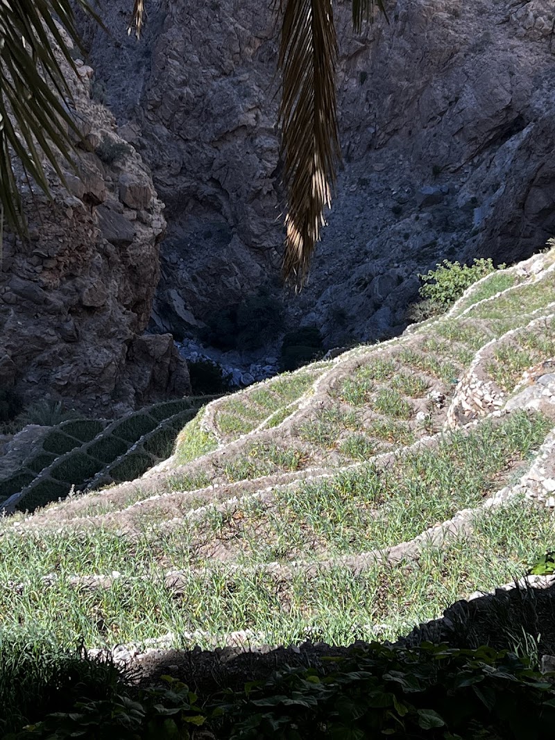Jabal Al Akhdar Viewpoint - Jabal Al Akhdar Viewpoint, 2PH2+F3M, Saiq, Oman