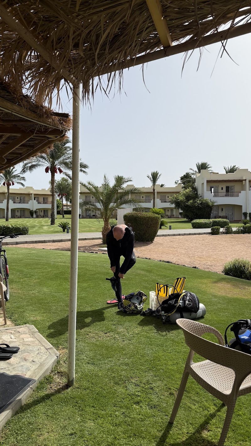 Blue Realm Dive Club - Blue Realm Dive Club, Lagoon Club & Resort, Dahab, South Sinai Governorate 8771501, Egypt