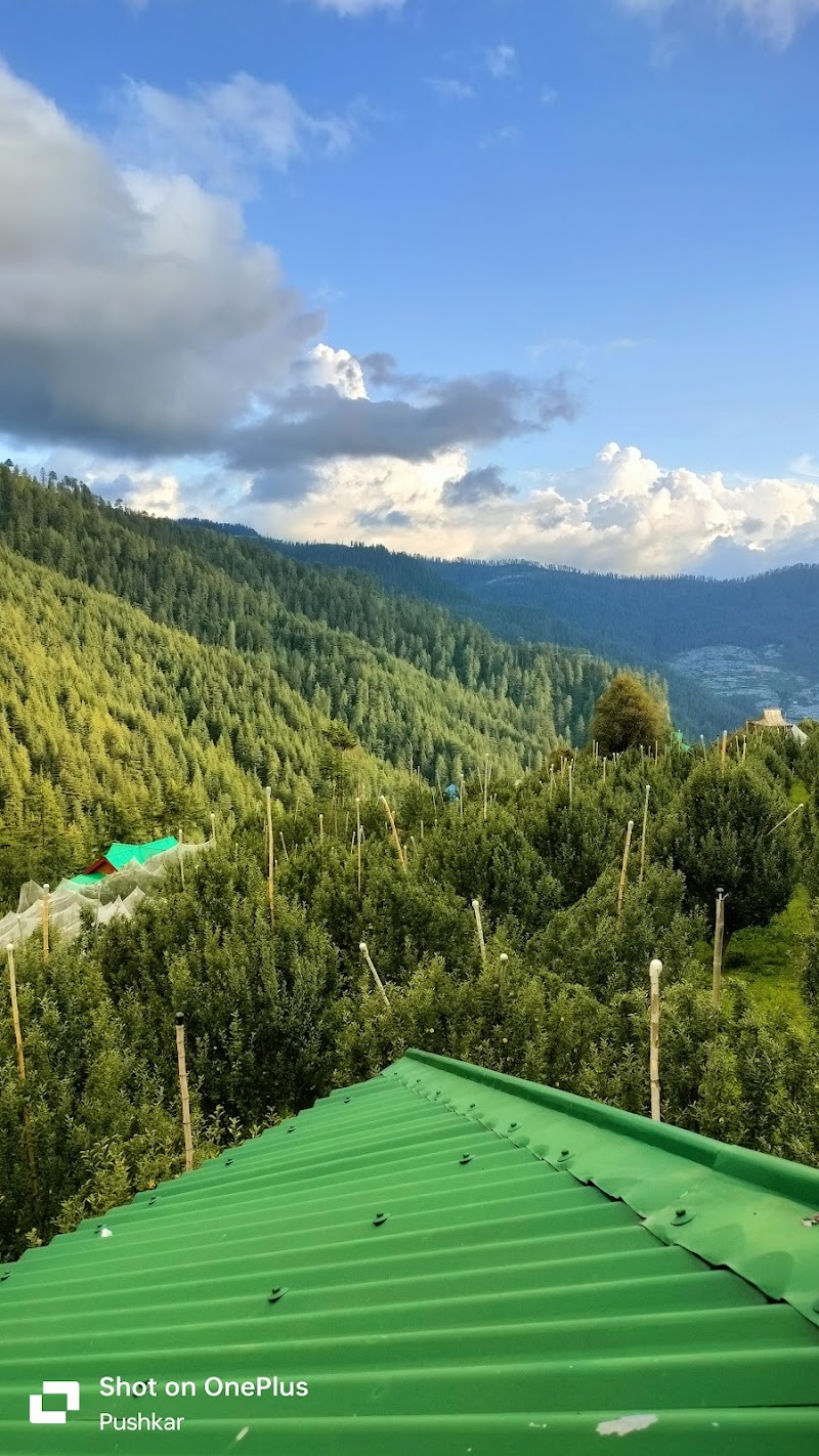 PS Orchards Kalna - PS Orchards Kalna, Kalna, Darbar Balsan, Himachal Pradesh 171220, India