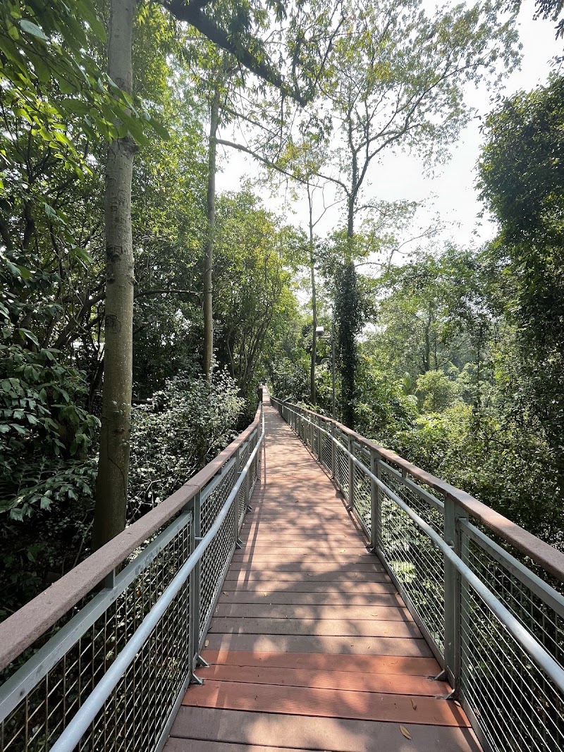 Imbiah Lookout - Imbiah Lookout, 42 Imbiah Rd, Singapore 099701