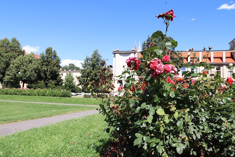 Zítkovy sady - Zítkovy sady Zítkovy sady, Nové Město, 128 00 Praha-Praha 2, Czechia