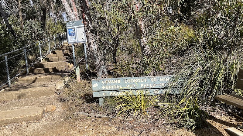 Govetts Leap descent - Govetts Leap descent 98C6+MF, Blackheath NSW 2787, Australia