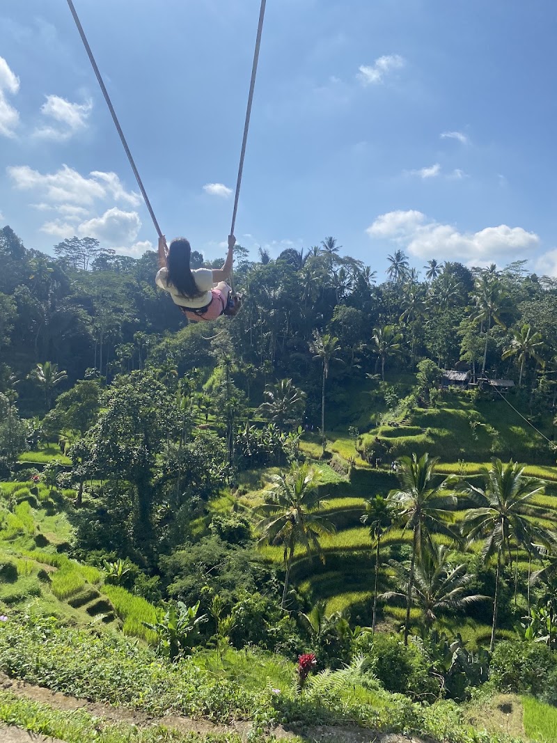 Tegallalang Rice Terrace - Tegallalang Rice Terrace Jl. Raya Tegallalang, Tegallalang, Kec. Tegallalang, Kabupaten Gianyar, Bali 80561, Indonesia