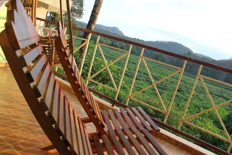 Wild view