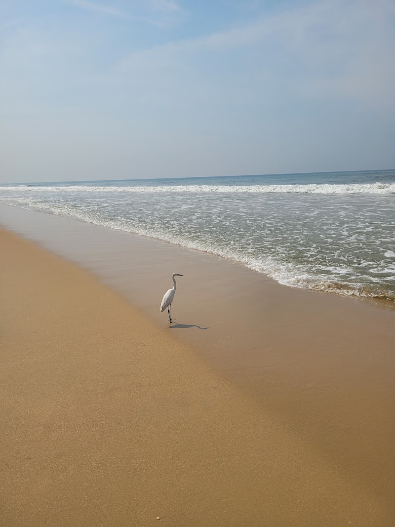 Boho Art Cottages - Boho Art Cottages, South Cliff, near, Temple Rd, Varkala, Kerala 695141, India