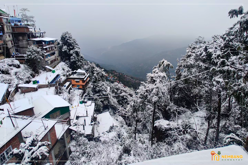 Nembang Homestay - Nembang Homestay 50/B, Tenzing Norgay Rd, Ganeshgram, Tungsung Basti, Darjeeling, West Bengal 734101, India