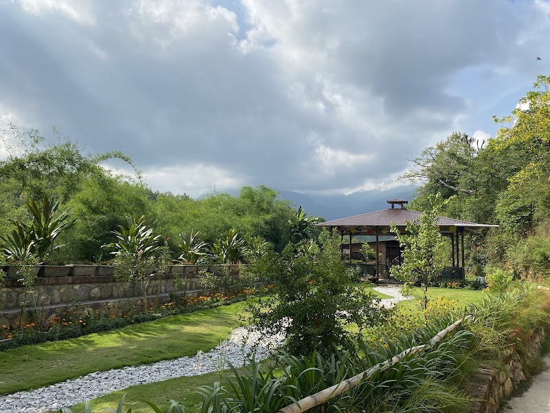 Tree of Life Resort, Dehradun Foothills - Tree of Life Resort, Dehradun Foothills 101, Bharatwala, Jamoliwala, Bhagwant Pur, Bisht Gaon, Dehradun, Uttarakhand 248003, India