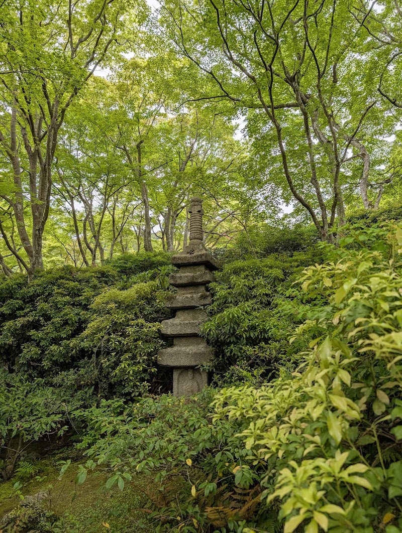 Okochi Sanso Garden - Okochi Sanso Garden 8 Sagaogurayama Tabuchiyamacho, Ukyo Ward, Kyoto, 616-8394, Japan