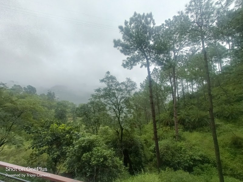 Emerald Stays - Emerald Stays, Main Rd, Radopaind, Matlah, Dharampur, Himachal Pradesh 173209, India