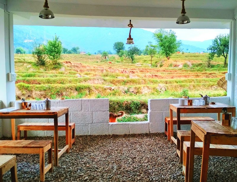AVVAs : Café | Diner | Coffee Bar : Homestyle South Indian