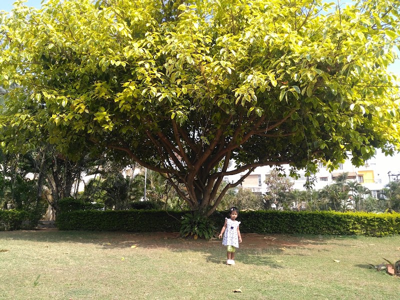 Ramaiah City Park - Ramaiah City Park VHJP+8WF, MS Ramaiah City Layout, JP Nagar 7th Phase, Arekere, Bengaluru, Kothnur, Karnataka 560076, India