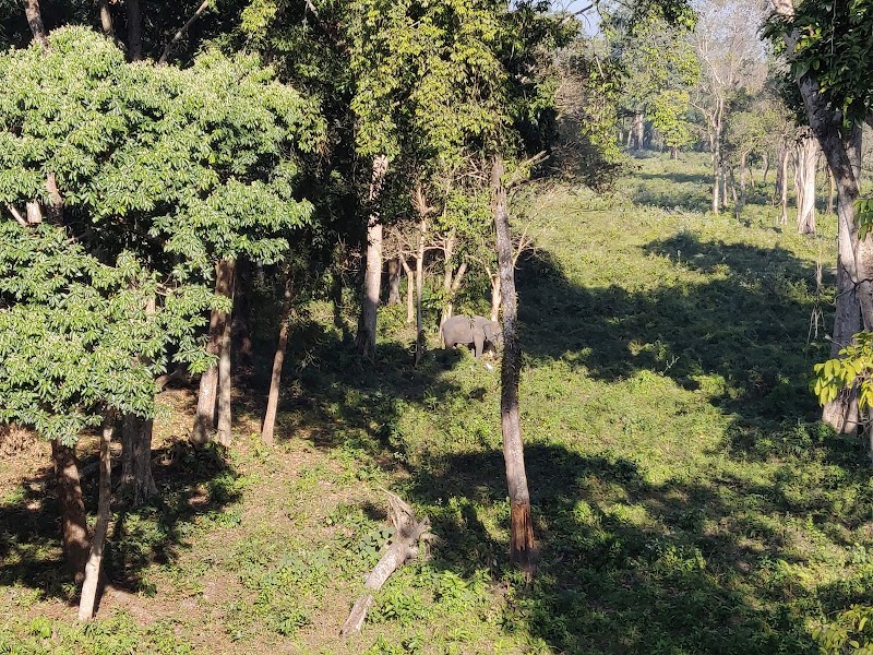 DOOARS TOURISM - DOOARS TOURISM, Dooars, Uttarpatkapara, Rajabhat Khawa, West Bengal 735227, India