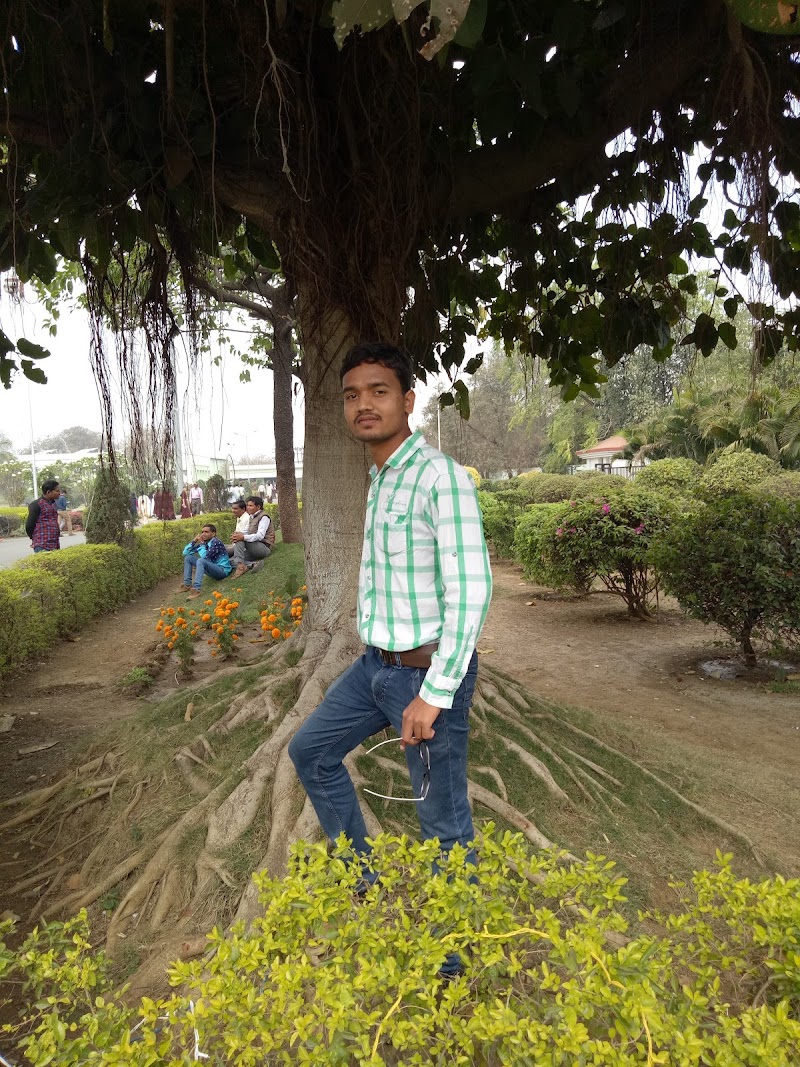Jila Sahkari Bank - Jila Sahkari Bank, Purani Mandi, 8275+F6C, Saraipali, Chhattisgarh 493558, India