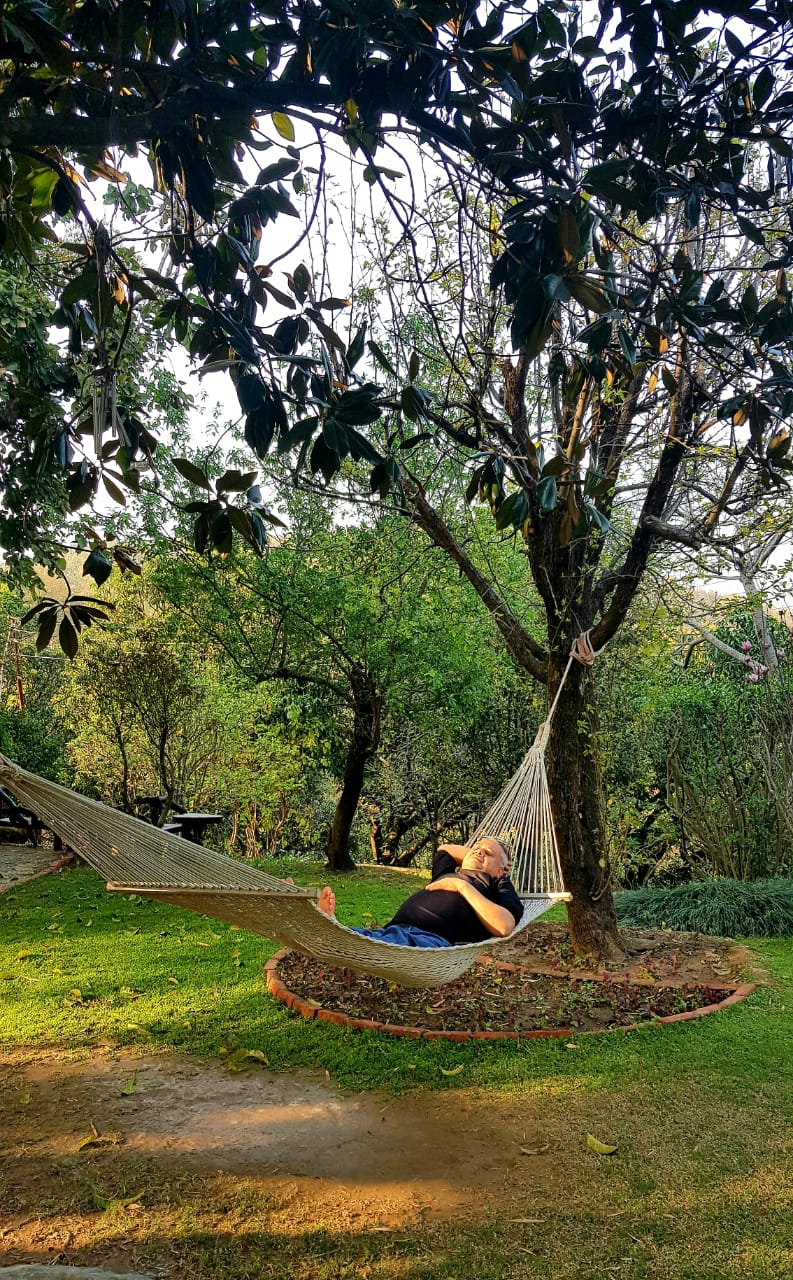 Nirvana Orchards (Rana Farms) - Nirvana Orchards (Rana Farms), 93M5+XPG, Malsi, Dehradun, Uttarakhand 248003, India