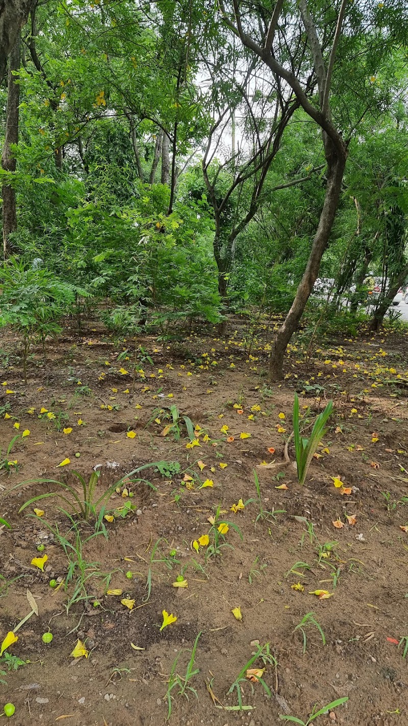 Sector 1 - Sector 1, Chandigarh, India