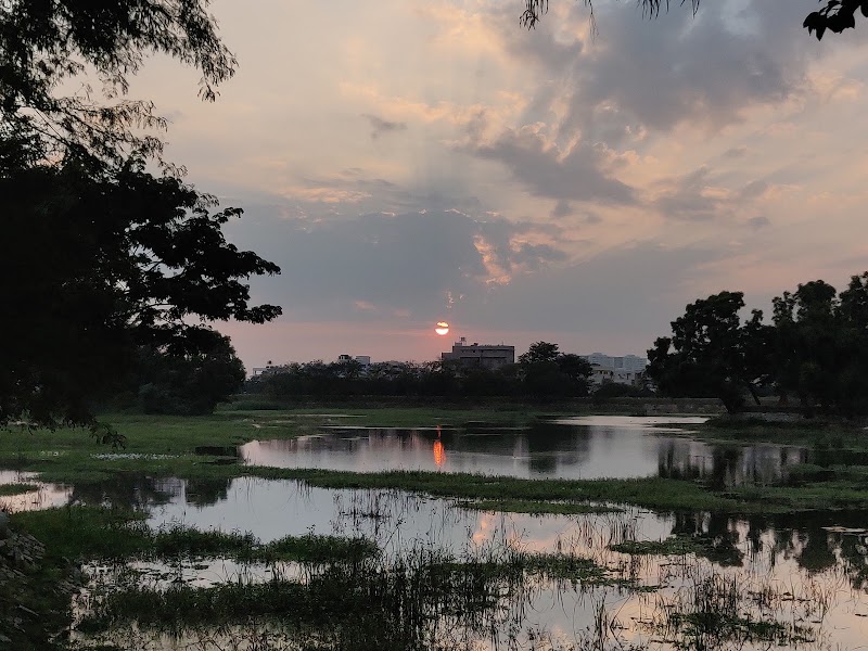Doddakallasandra Lake - Doddakallasandra Lake Near 4th Cross, 100 Feet, Doclors Colony Main Rd, Naryananagar 3rd Block, Doddakallasandra, Konanakunte, Bengaluru, Karnataka 560062, India