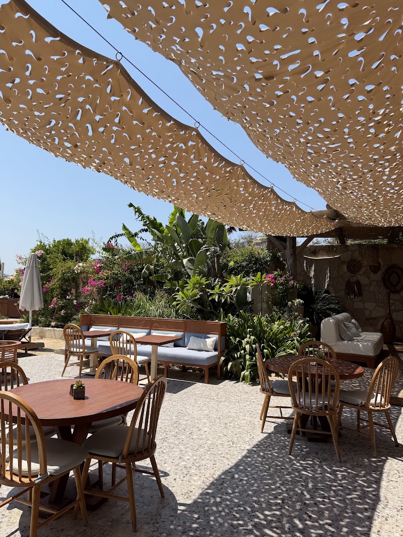 Villa Azur Restaurant & Beach Club Bodrum - Villa Azur Restaurant & Beach Club Bodrum, Tilkicik Koyu Yalıkavak, Dirmil, Flıpper Sk. No:9 EA D:1, 48990 Bodrum/Muğla, Türkiye