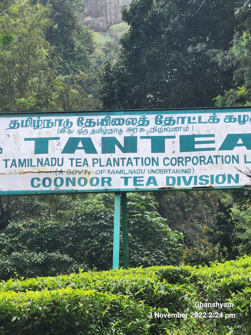 Laws Falls - Laws Falls 8QJX+QX6, Coonoor, Tamil Nadu 643102, India