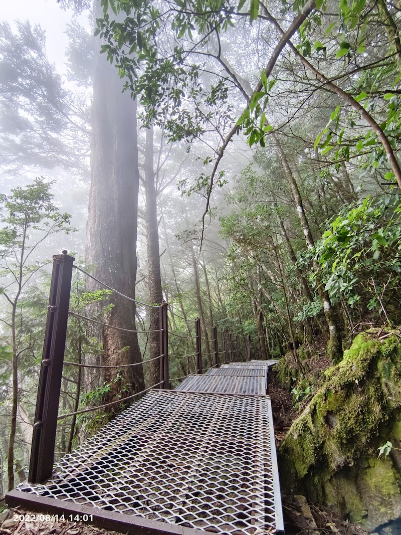 大雪山國家森林遊樂區木馬道 - 大雪山國家森林遊樂區木馬道, 424, Taiwan, Taichung City, Heping District, 台中市和平區