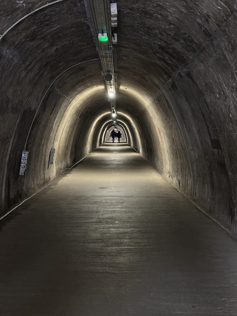 Tunel Grič
