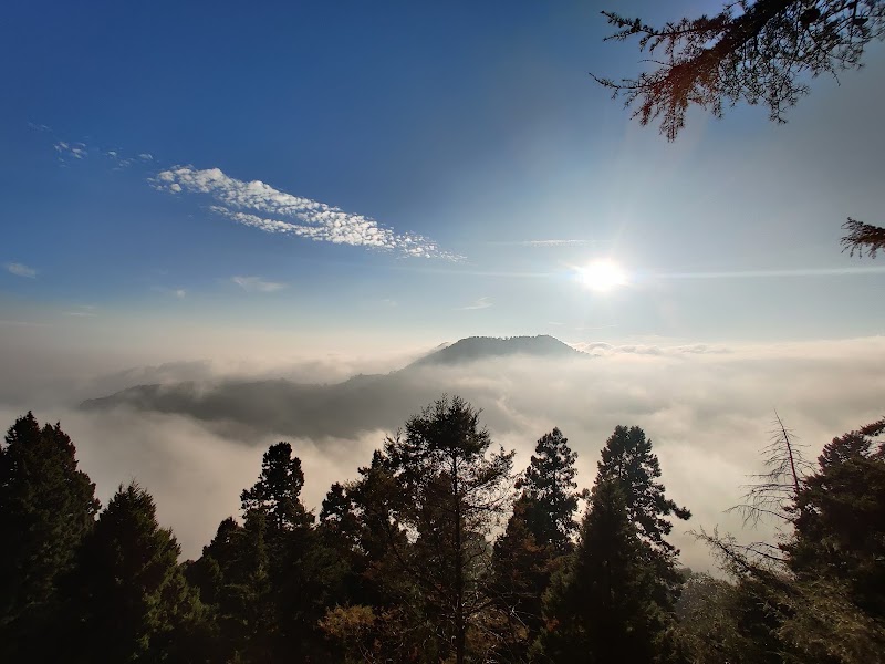 Snow View - Snow View 7, Maldon Cottage Raod, Mallital, Nainital, Uttarakhand 263001, India