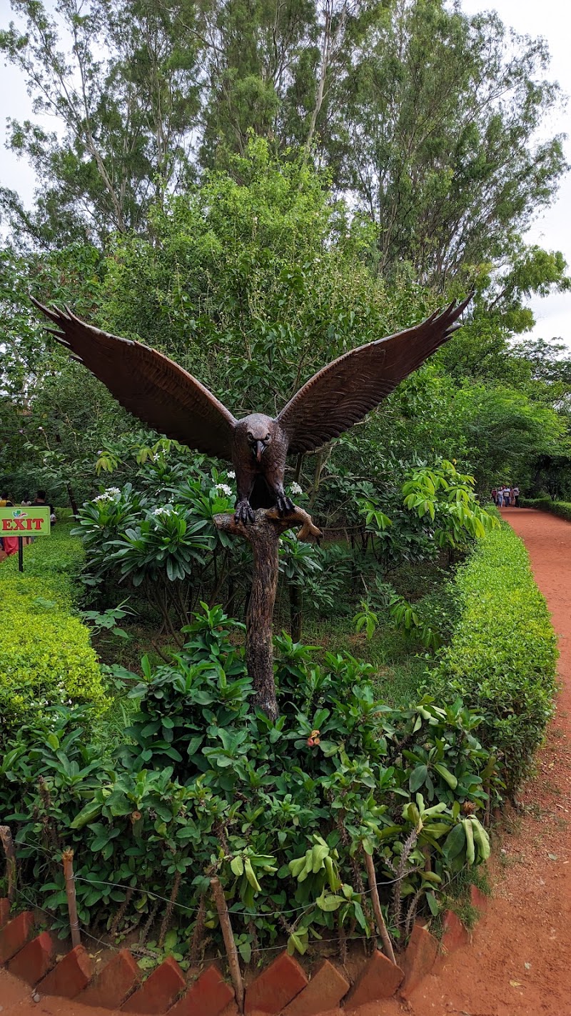 Chandigarh Bird Park - Chandigarh Bird Park Infront of the Lake Sports Club entry, near Rock Garden of Chandigarh, Rock Garden of Chandigarh, Sector 1, Chandigarh, 160001, India