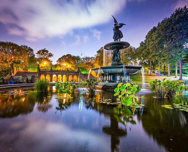Central Park - Central Park New York, NY, USA