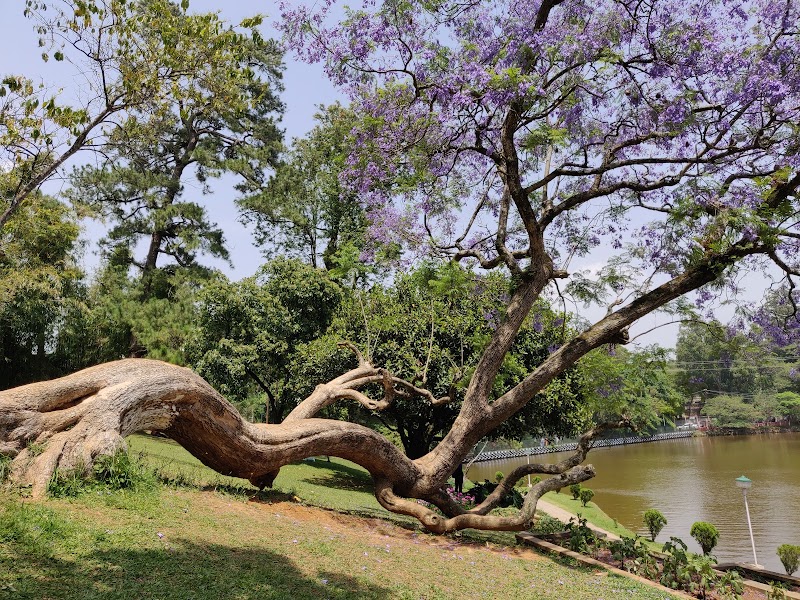 Botanical Garden - Botanical Garden HVGP+JP9, Khyndailad, Police Bazar, Shillong, Meghalaya 793001, India