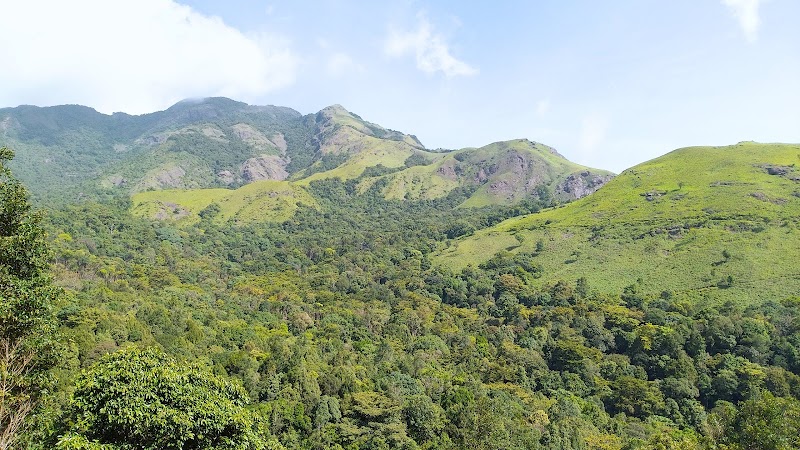 Wayanad Guide - Wayanad Guide, Meppadi, Natham Kuni, Kalpetta, Meppadi, Keralam 673577, India