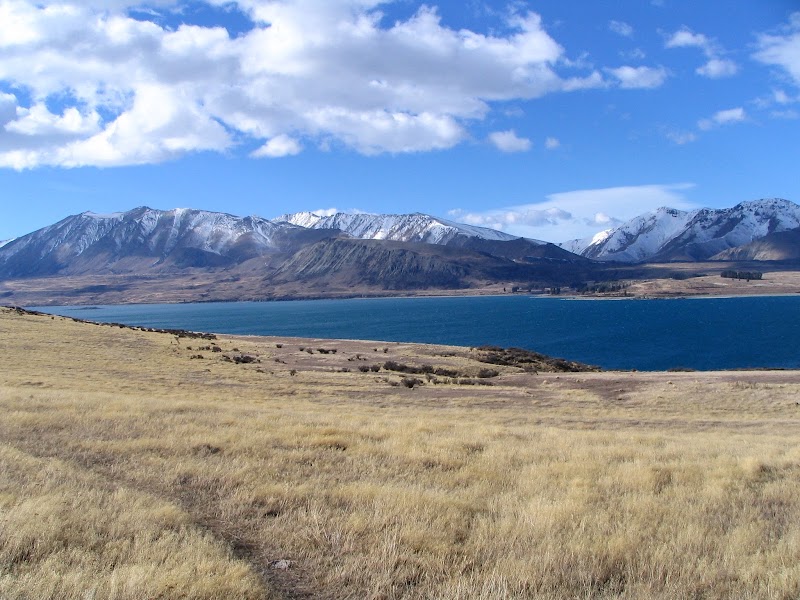 Lake Tekapo - Lake Tekapo Lake Tekapo, Canterbury Region 7999, New Zealand