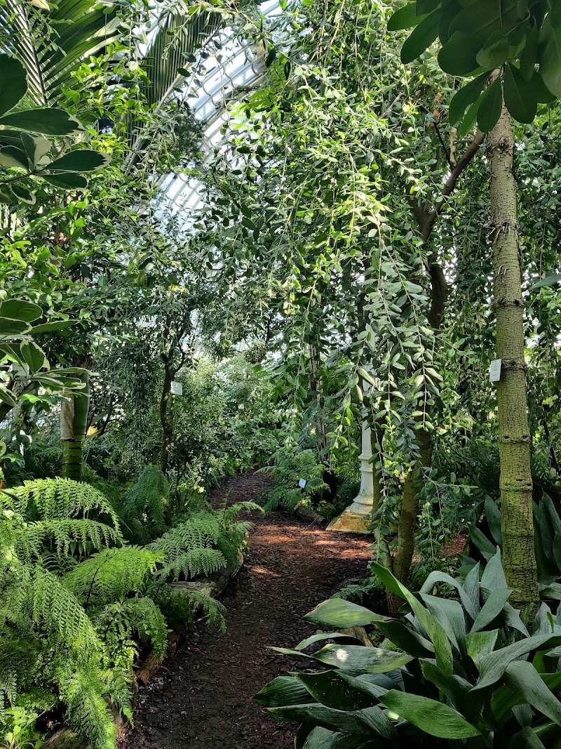 Palm House - Palm House, Schönbrunn Palace Park, 1130 Wien, Austria