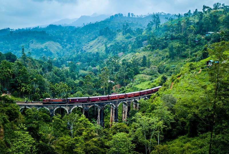 Book Now - Nanuoya First Class Scenic Train Ticket