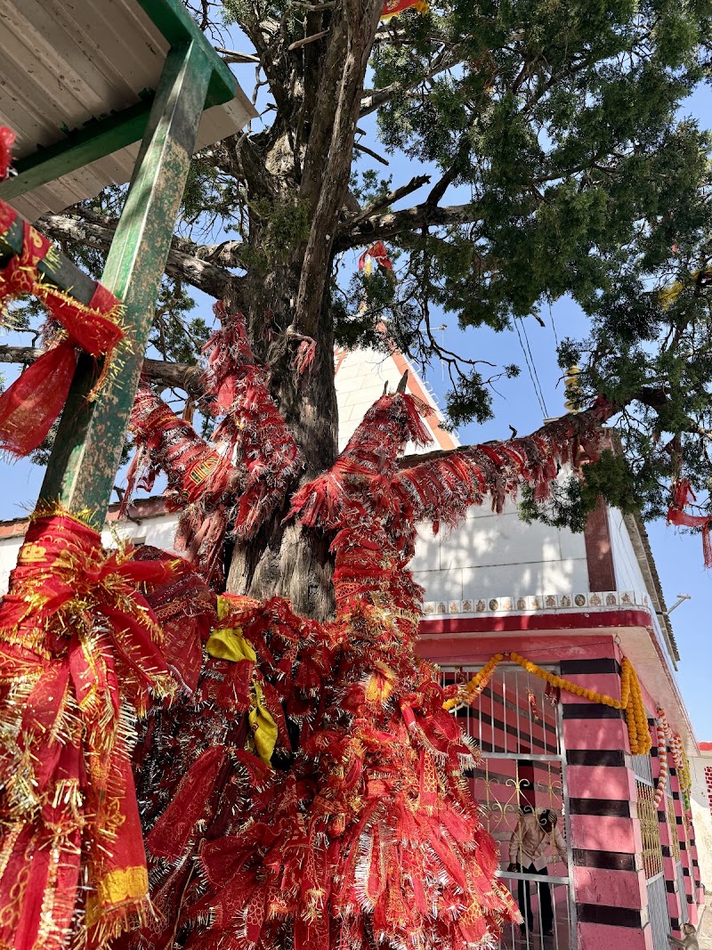 Kunjapuri Shakti Peeth - Kunjapuri Shakti Peeth 58F7+JRR, Narendra Nagar, Adali, Uttarakhand 249175, India
