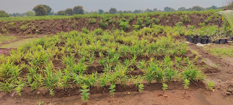 Daniel & Das integrated farm - Daniel & Das integrated farm, 6474+C5X, Jalbandha Road, Chhattisgarh 491444, India